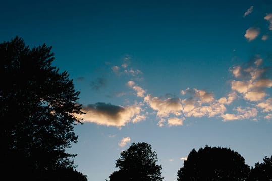 Champaign Illinois wedding photographer