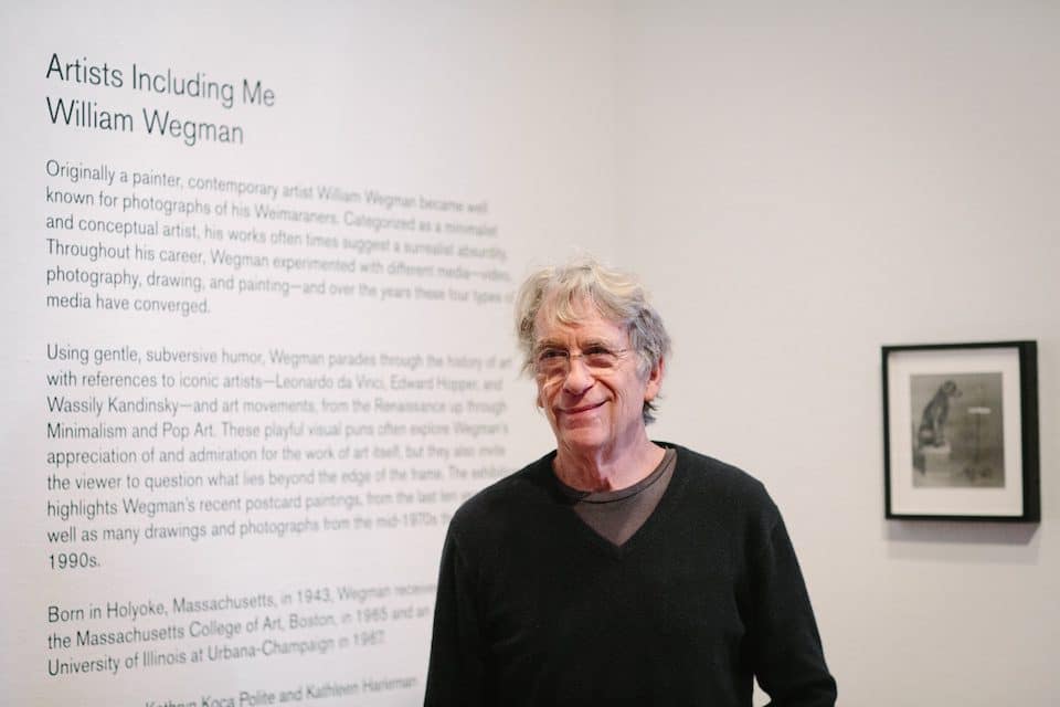 William Wegman exhibit at Krannert Art Museum