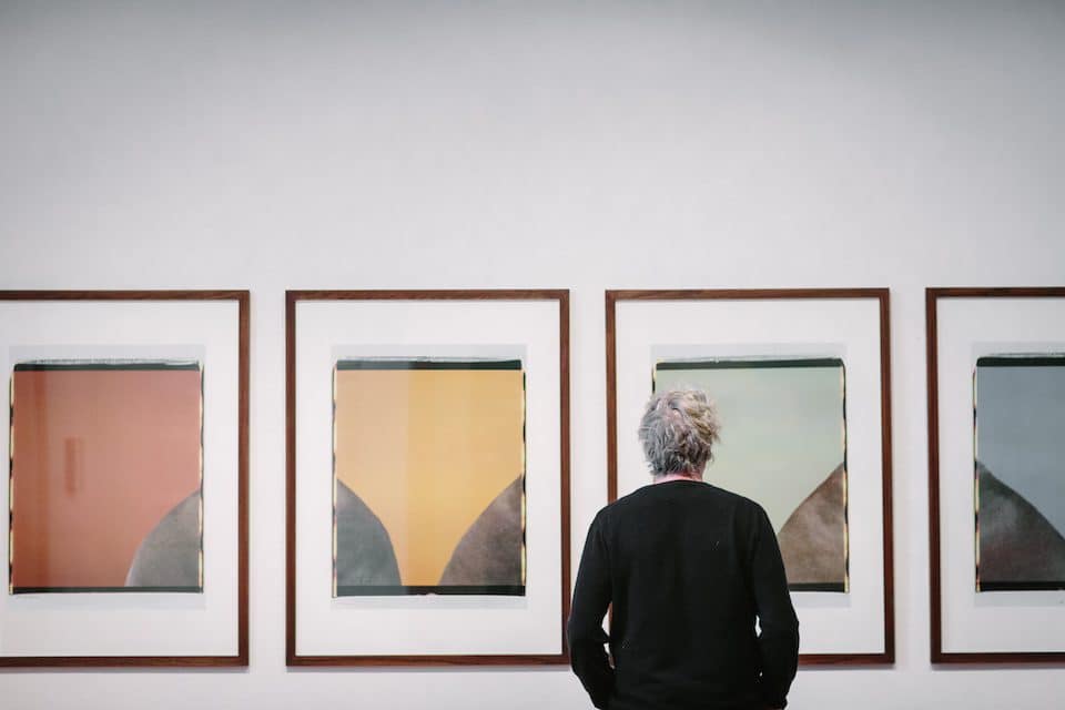 William Wegman exhibit at Krannert Art Museum